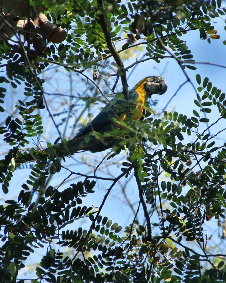 Thermas Goias - Park Veredas Rio Quente Eksteriør bilde